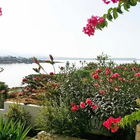 Lägenhet Michalis Apartment-5 *